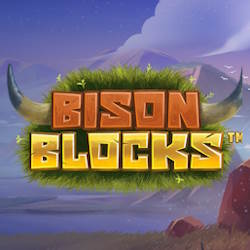 bison blocks
